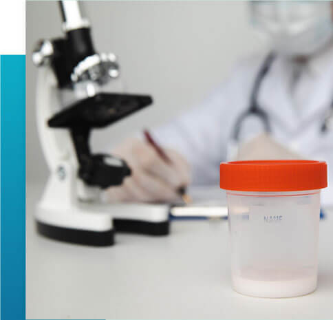 biopsie testiculaire